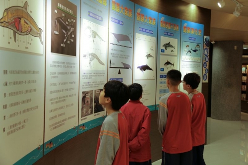 圖書館主題月「海中鯨靈」