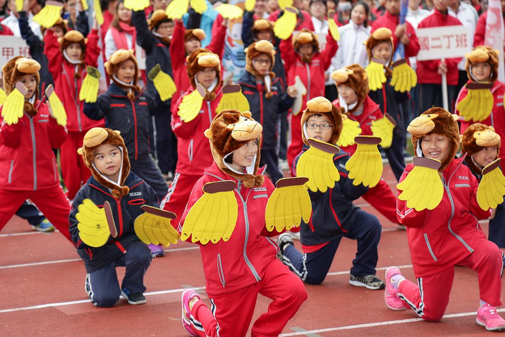 y161216318.jpg