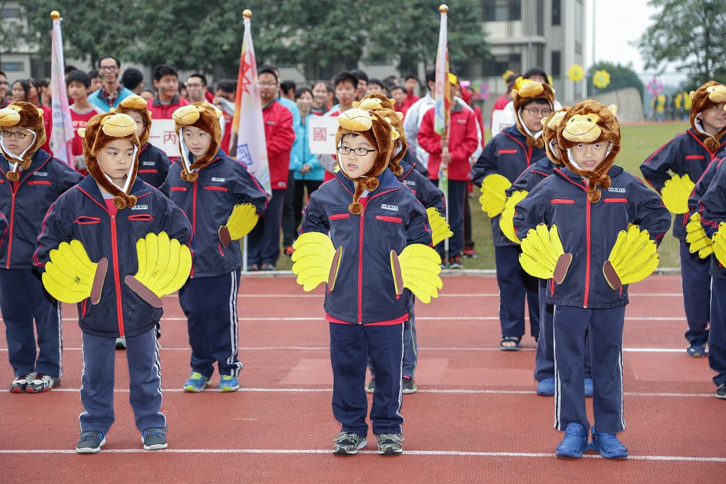 y161216307.jpg