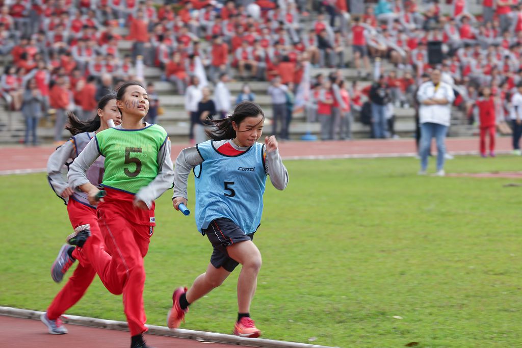 y161217185.jpg