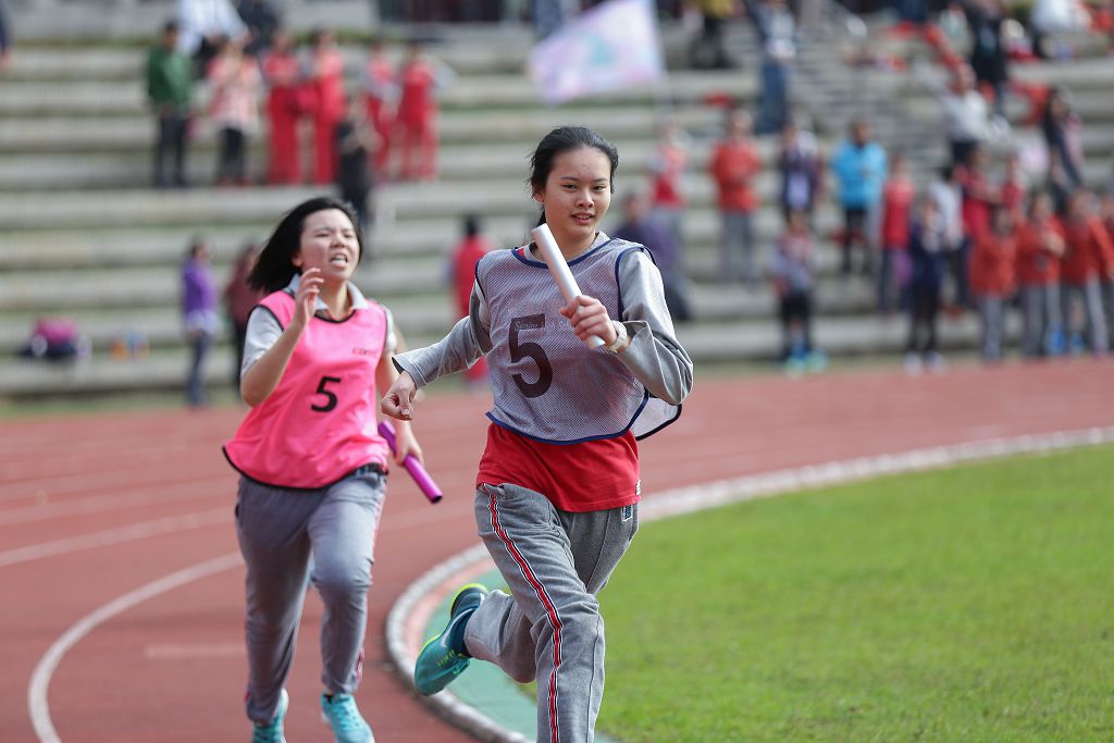 y161217304.jpg
