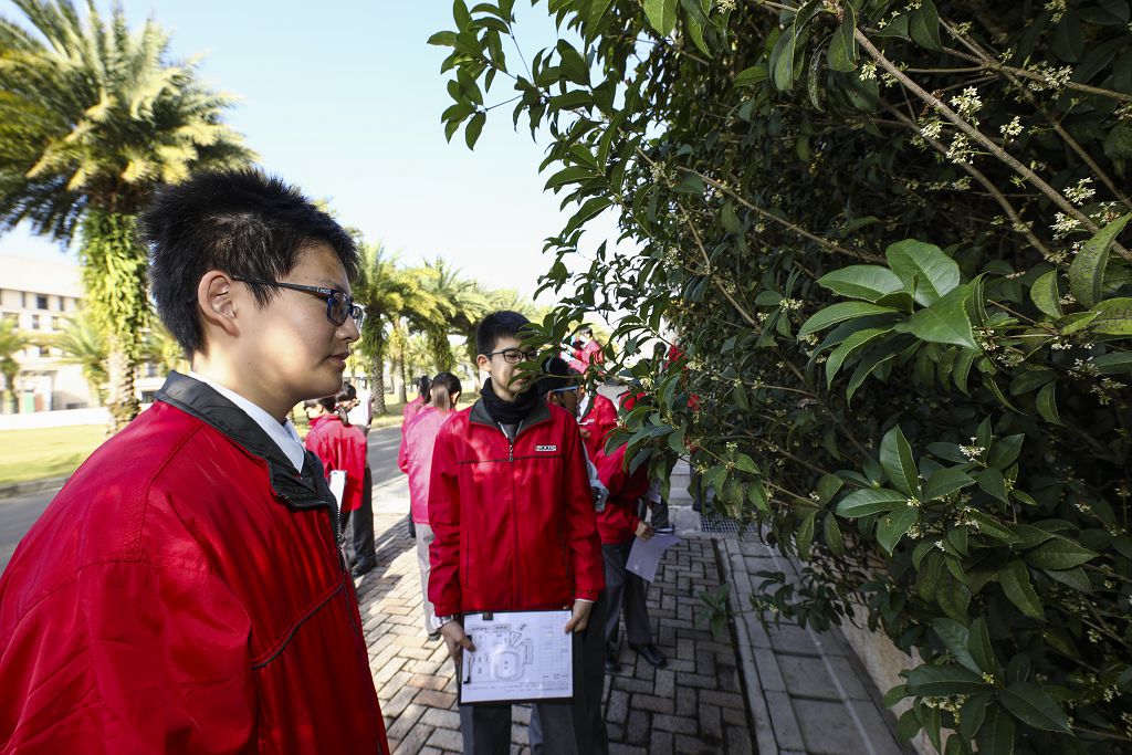 國一校園植物巡禮 (2).jpg